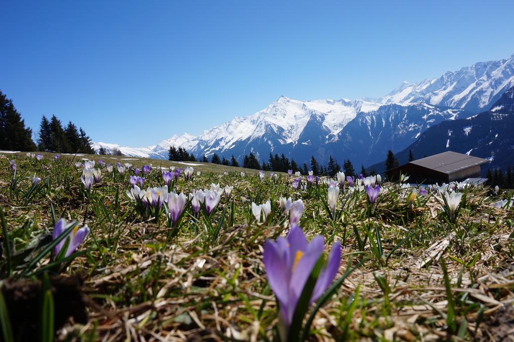 Apart Heim Ramsau im Zillertal Eksteriør bilde